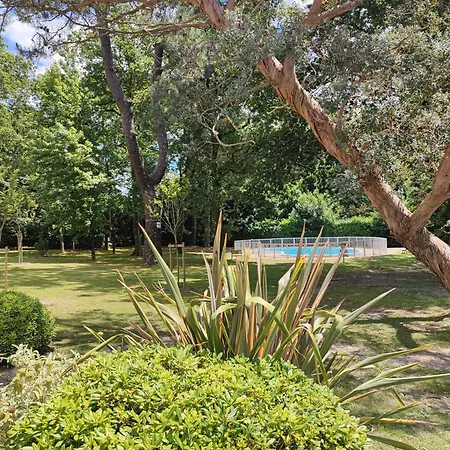 Renove Avec Piscine, Wi-fi, Proche Centre Et - Fr-1-3-610 *
